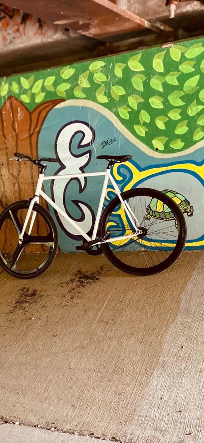 White Fixed Gear Bike - photo 2