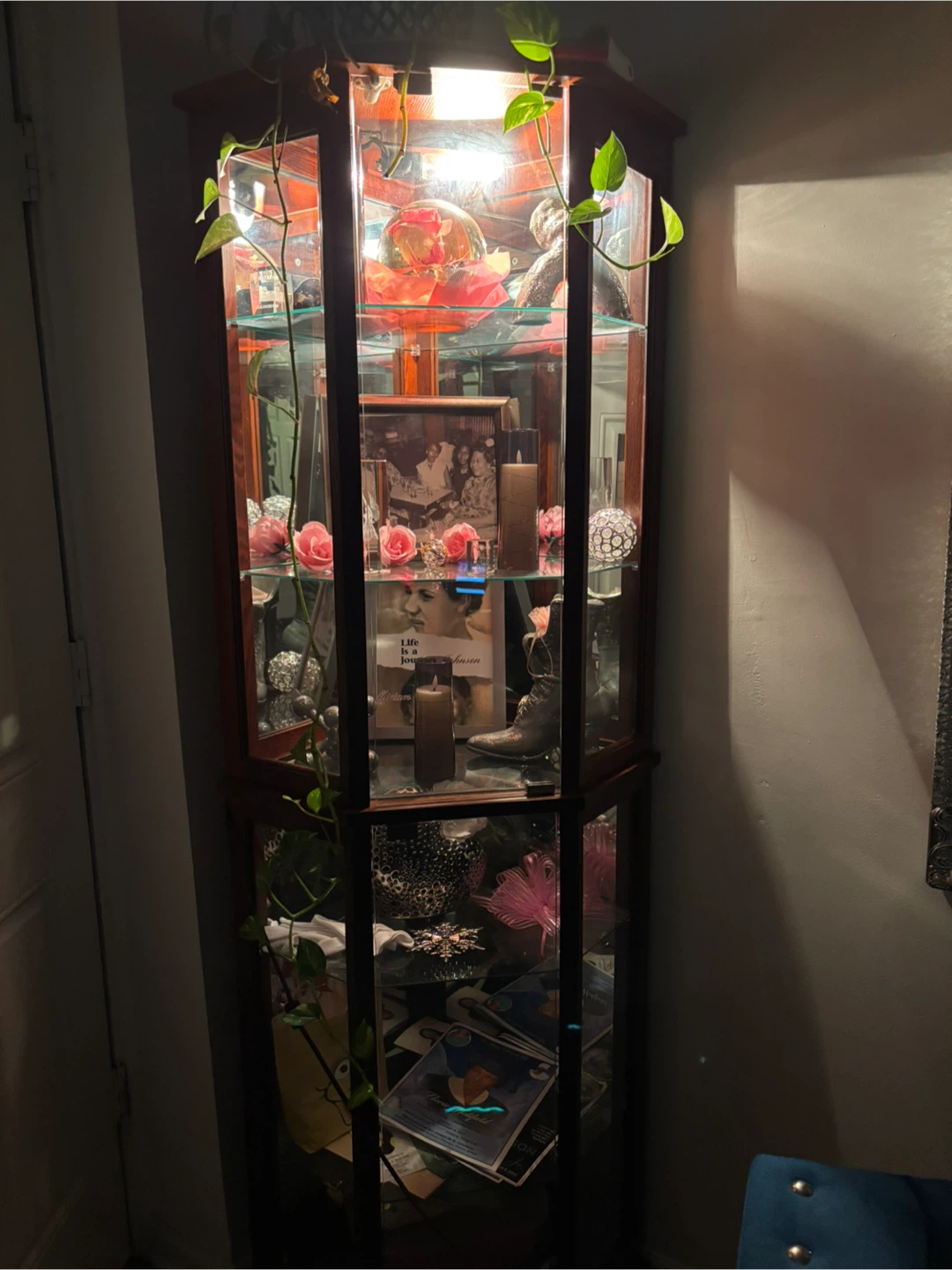 Corner Curio Cabinet