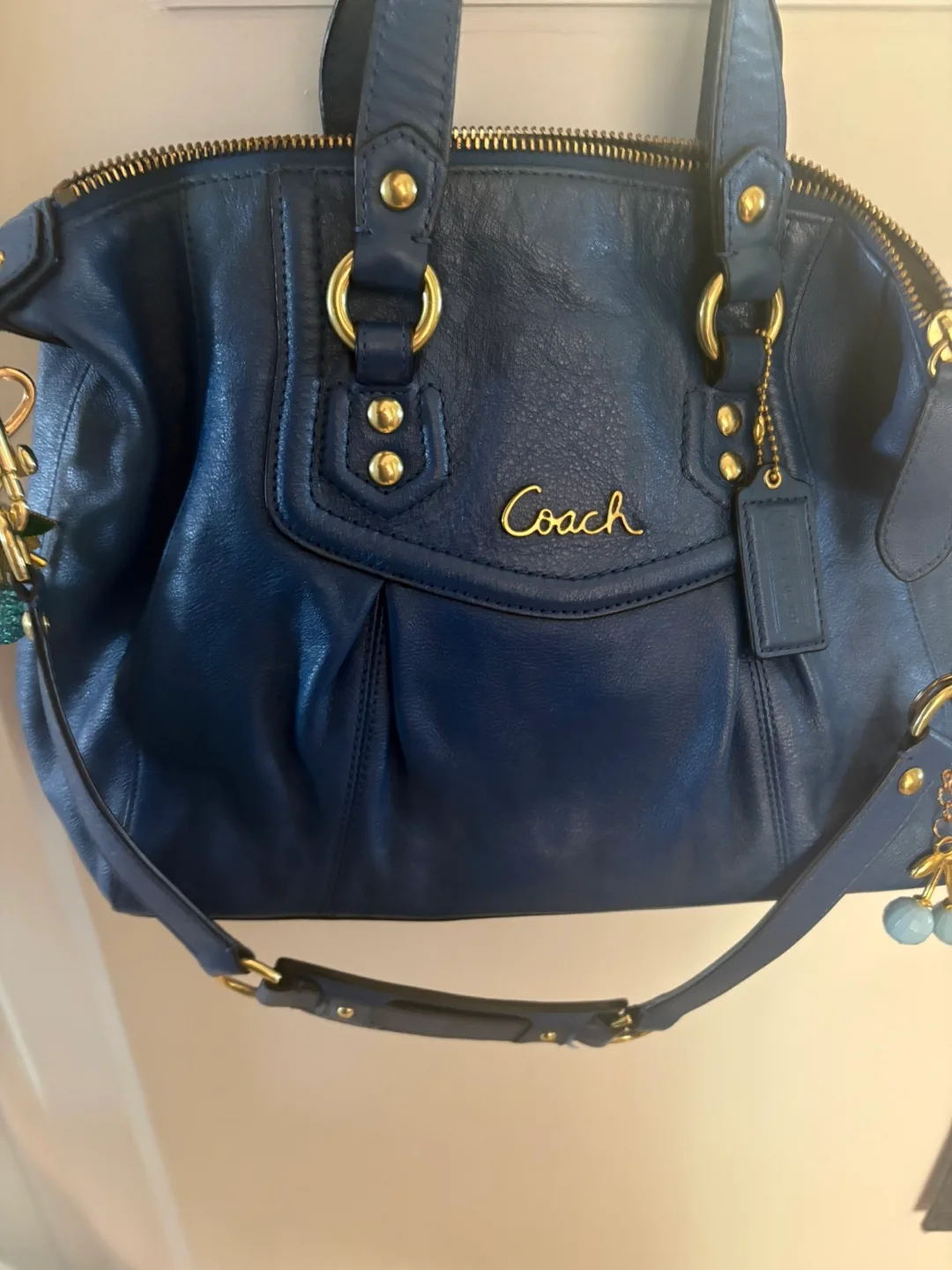 Coach carryall bag