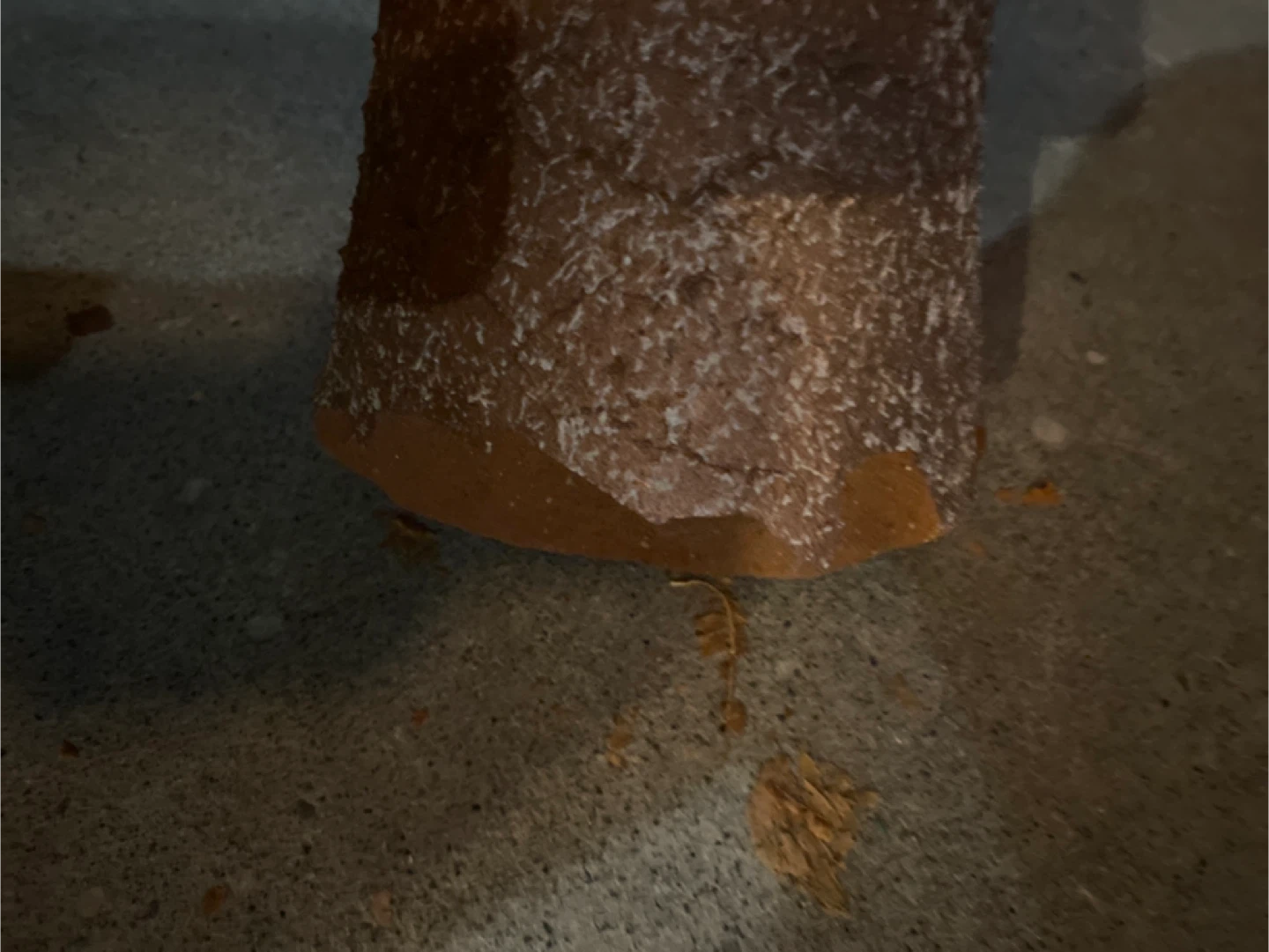 Free stoneware vase near WEM - photo 2