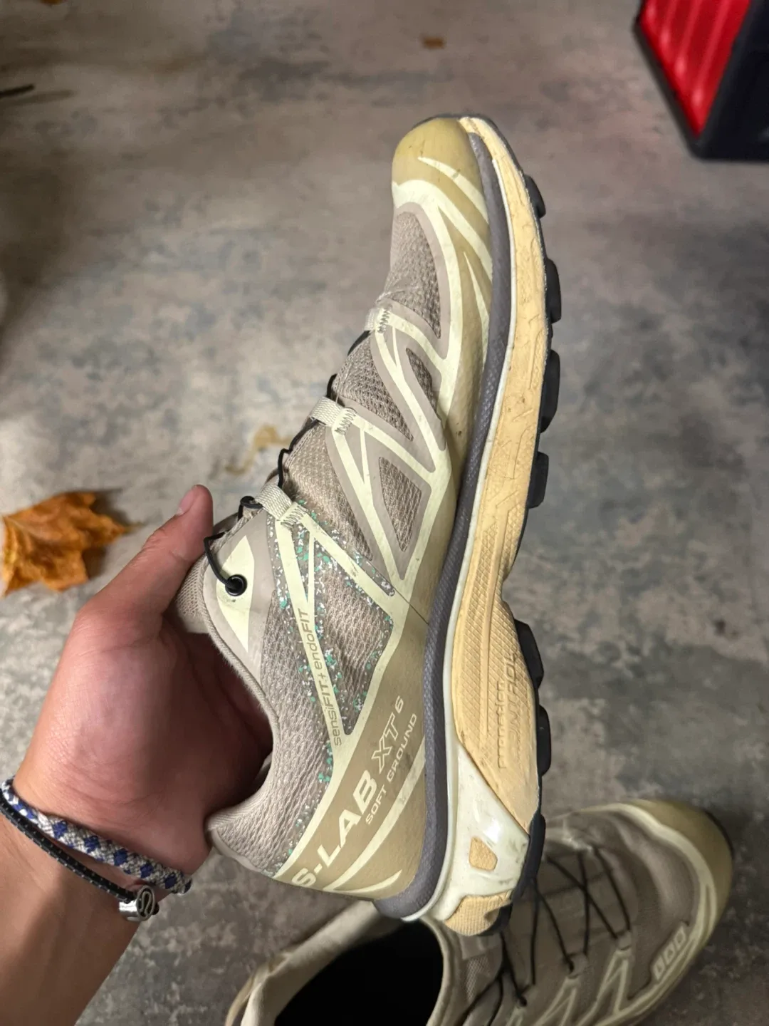 Salomon image indicator(2)