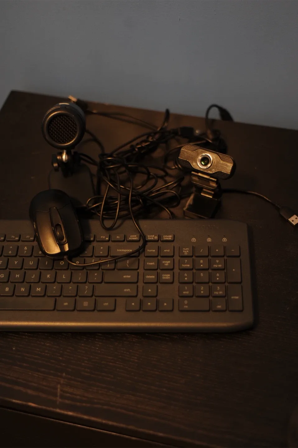 Keyboard, webcam, microphone, mouse bundle thumbnail