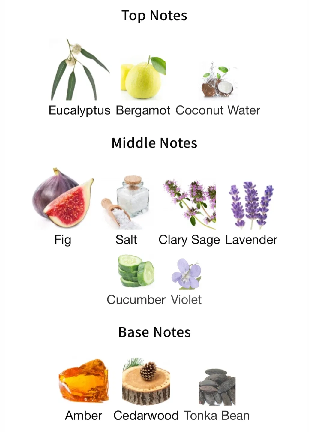 NOYZ Sh**ty Day - 15ml image indicator(3)