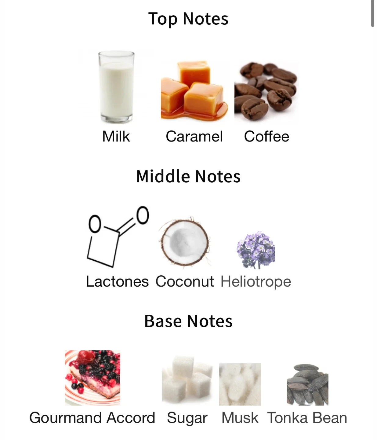 Paris Corner Eternal Coffee - 85ml image indicator(3)