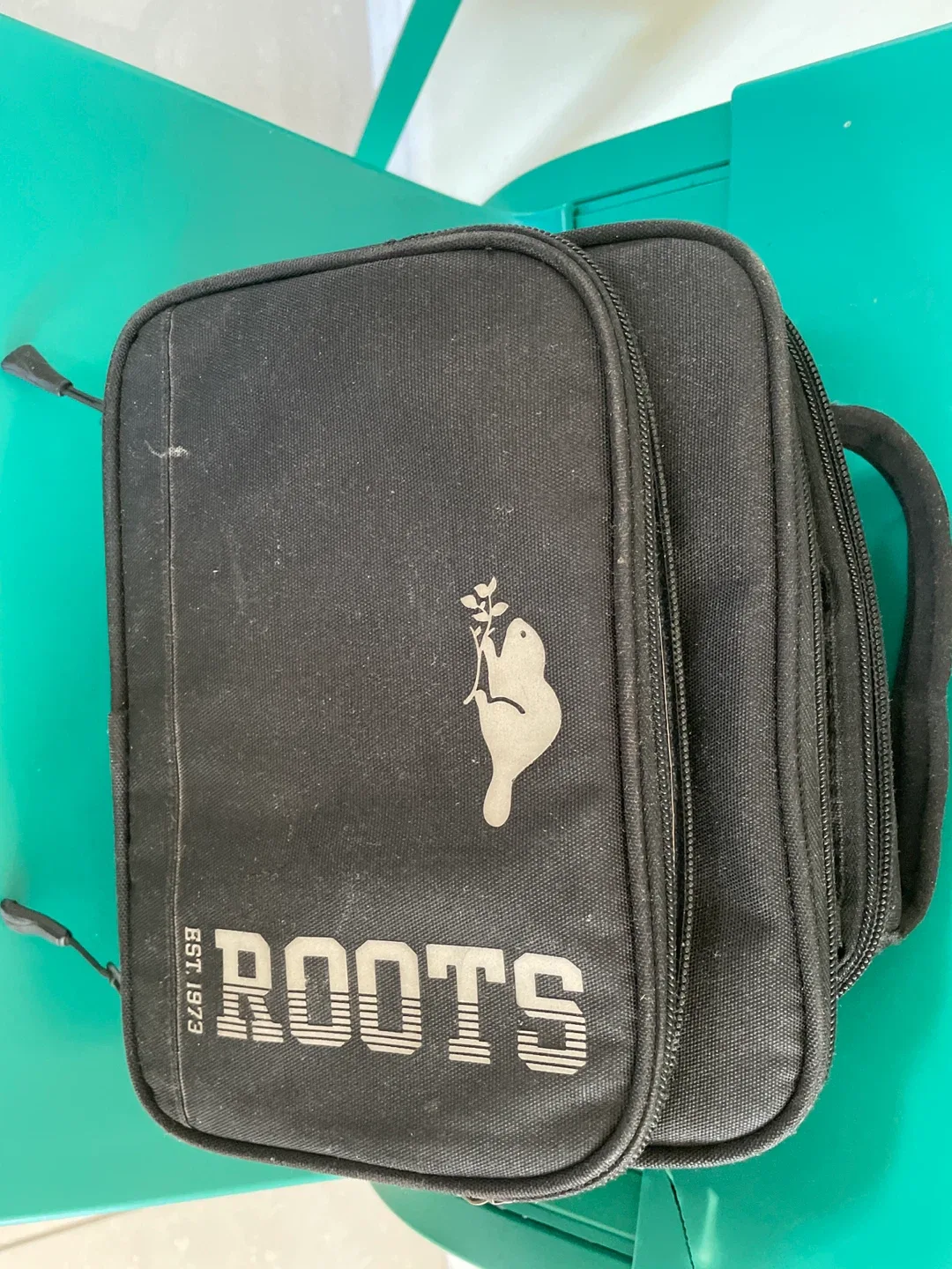 Roots Lunch Bag - Black thumbnail