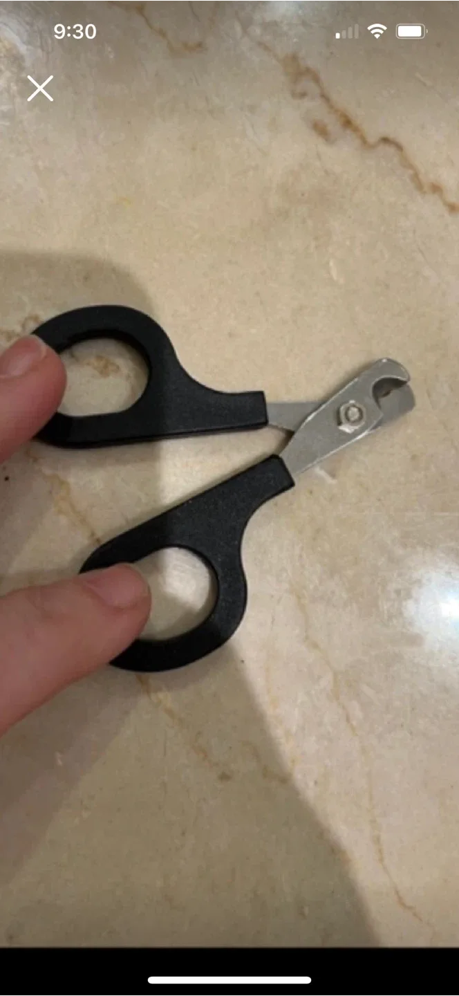 Pet Nail Clippers thumbnail