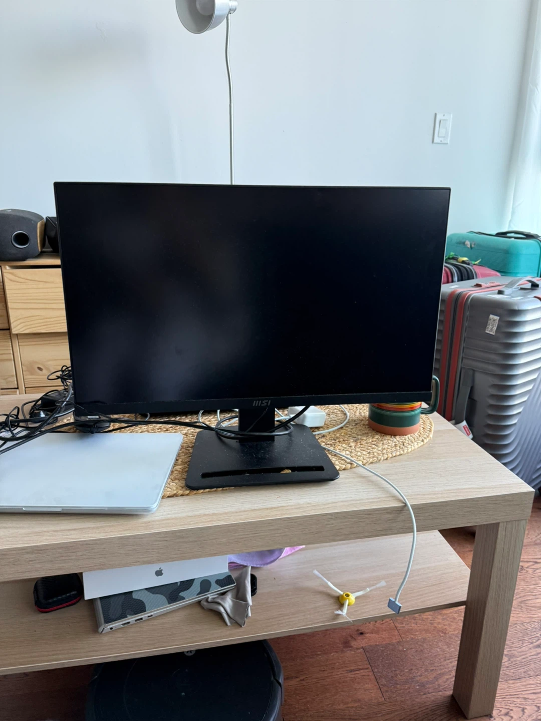 MSI Monitor
