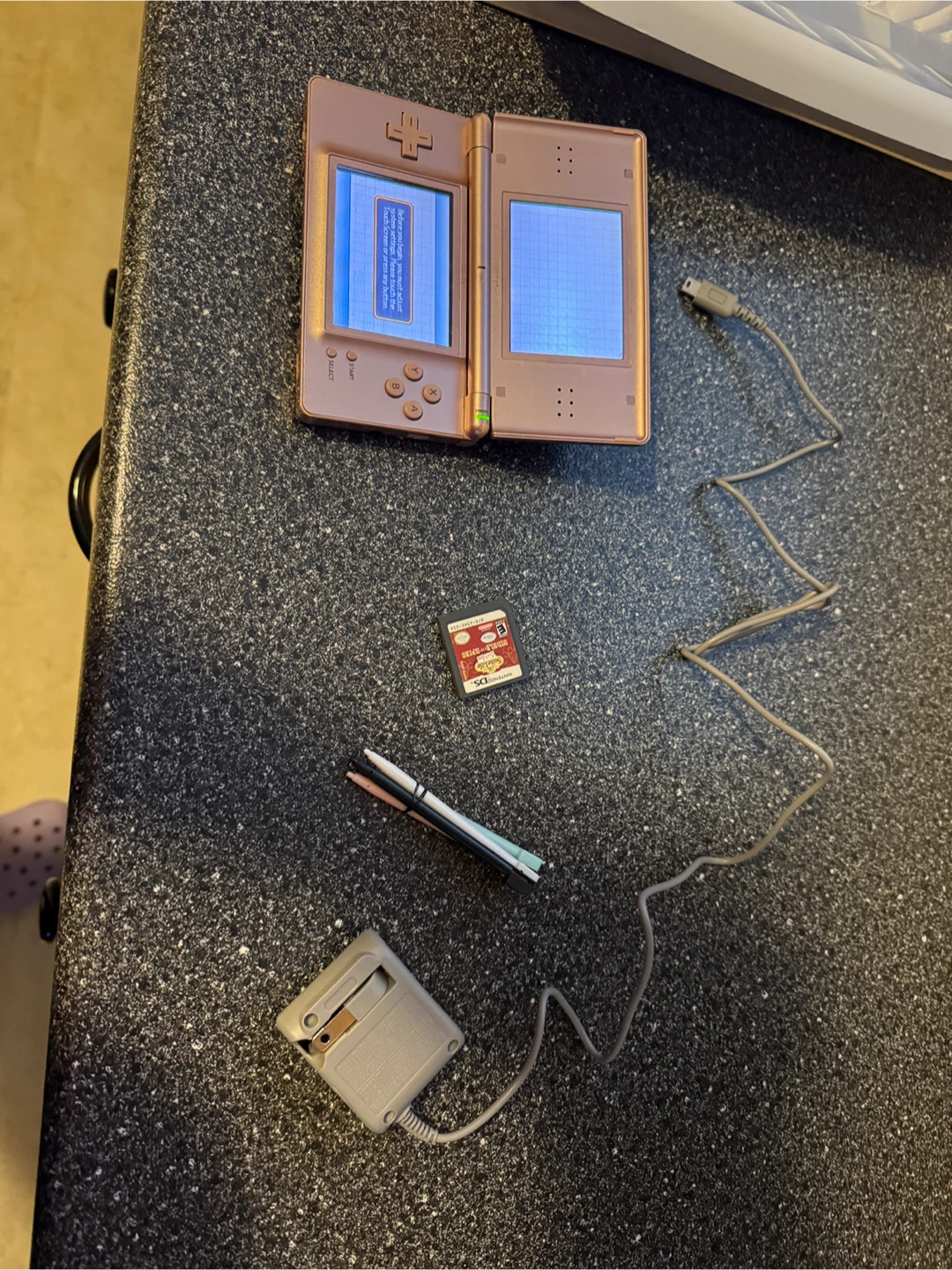 Nintendo DS Lite with Charger and Game