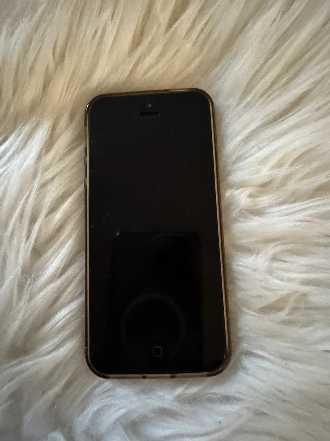 iPhone 5s Cases - photo 2