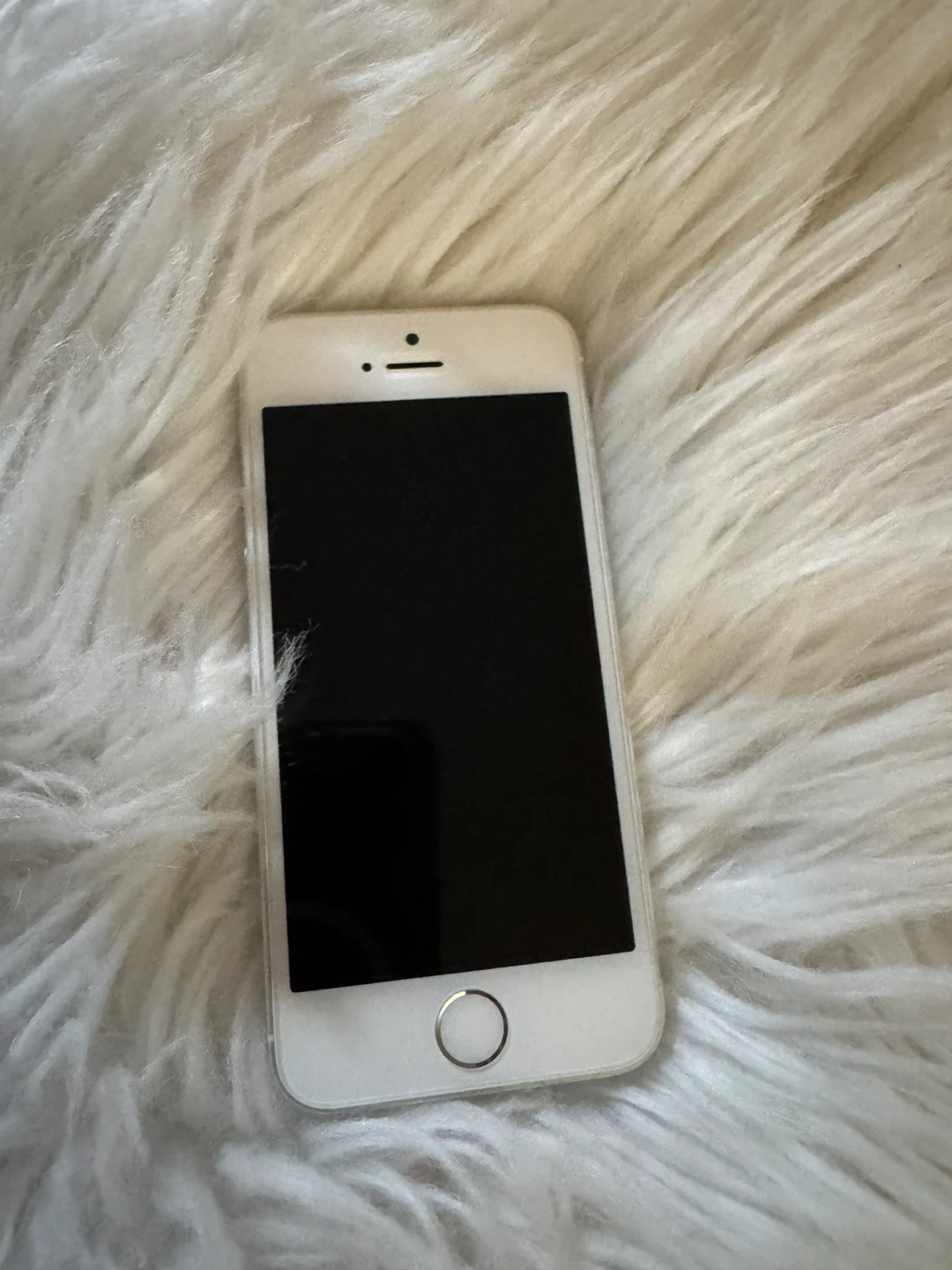 iPhone 5s Cases - photo 3