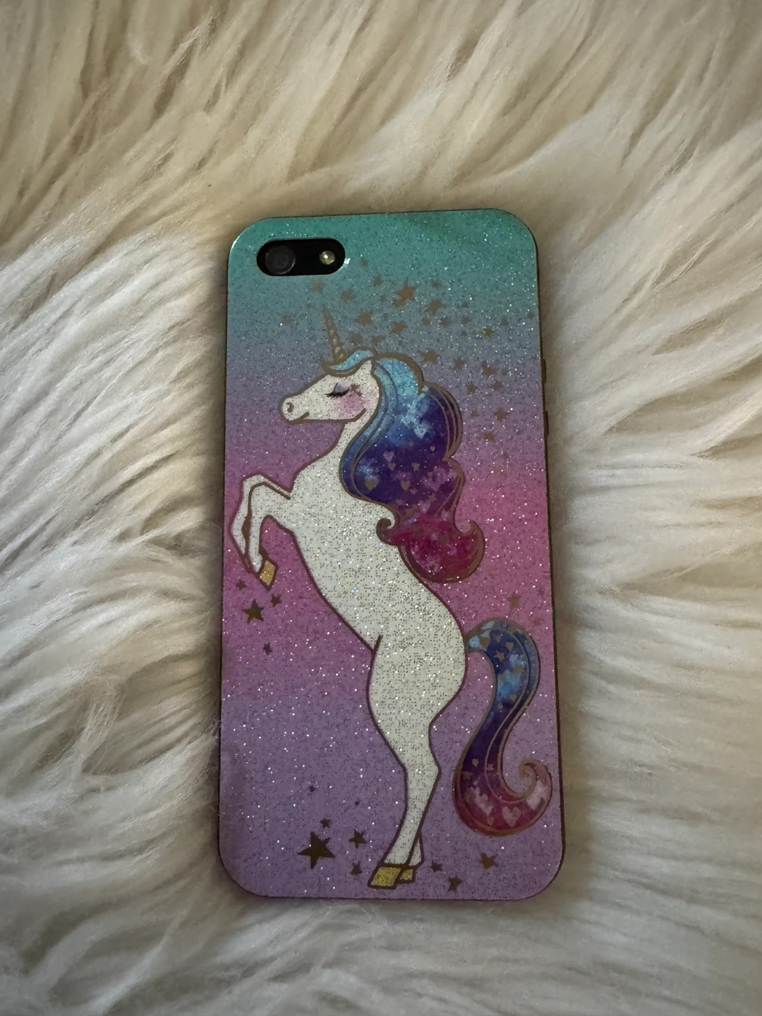 iPhone 5s Cases