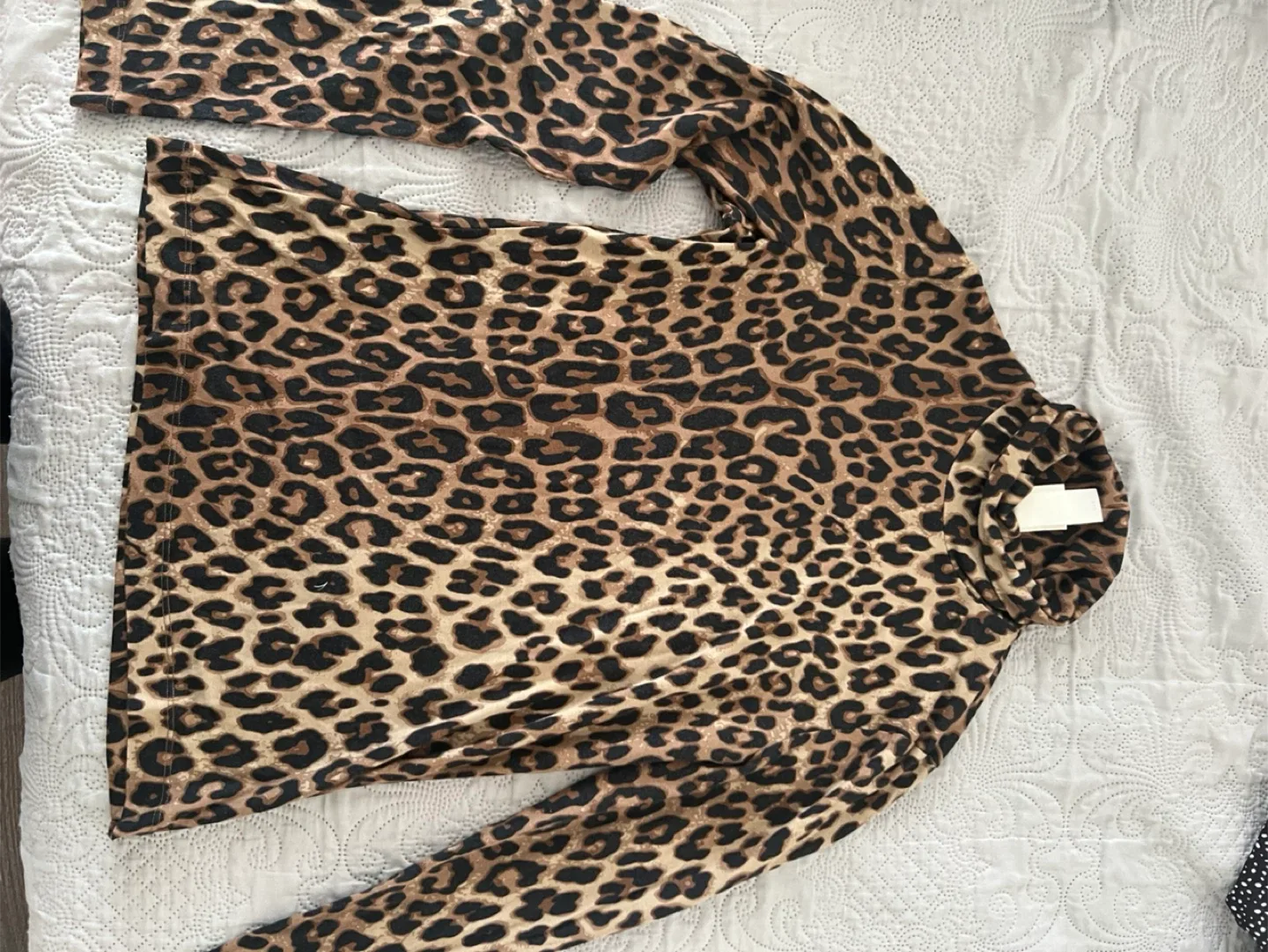 H&m Leopard Print Turtleneck Top thumbnail
