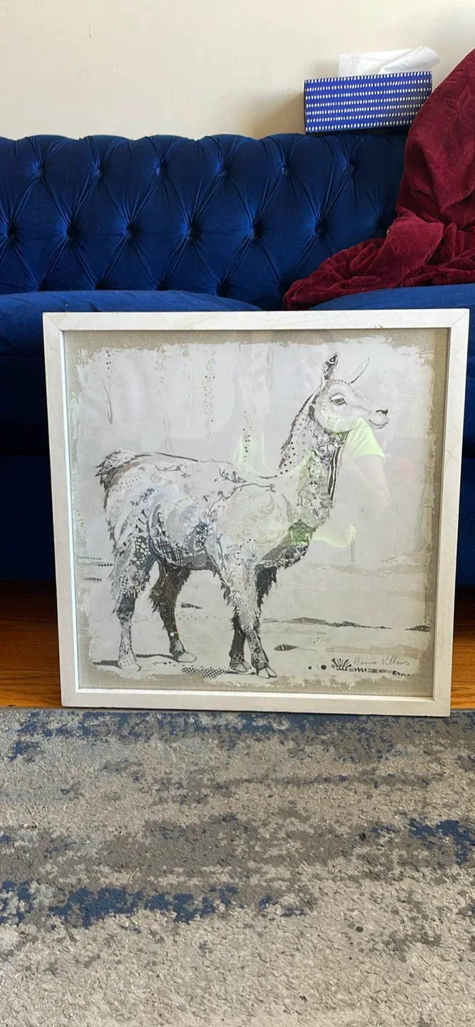 Henri Villers Framed Llama Print thumbnail