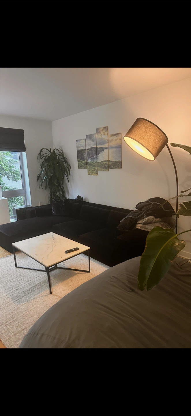 Rove Concepts Porter Black Sectional - photo 4