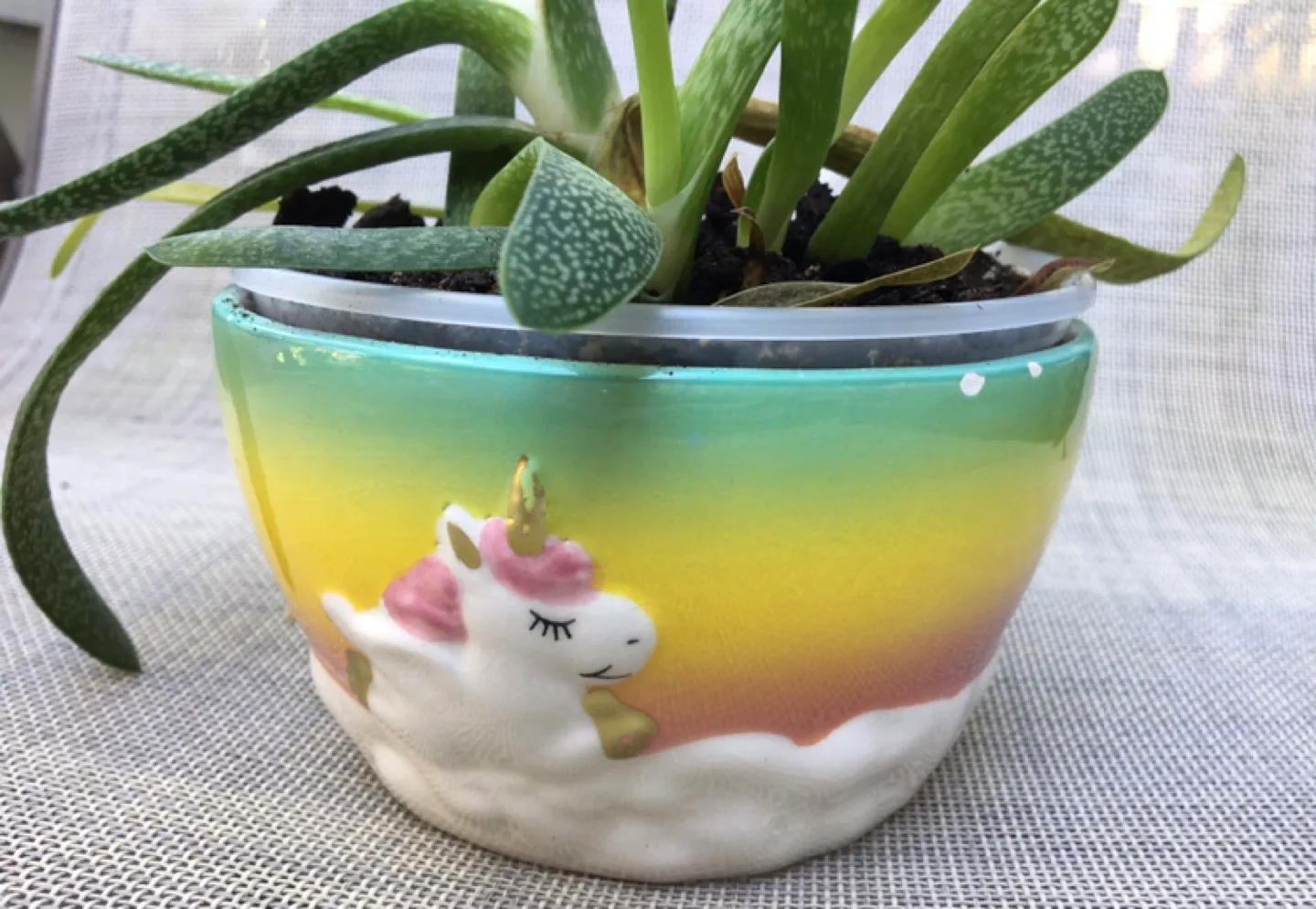 Unicorn Plant Pot image indicator(2)