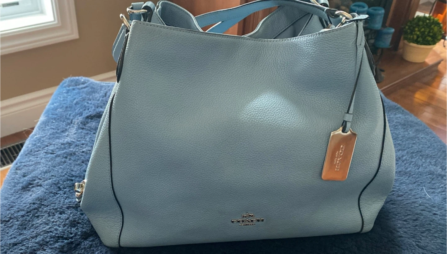 Coach Leather Shoulder Bag - Blue