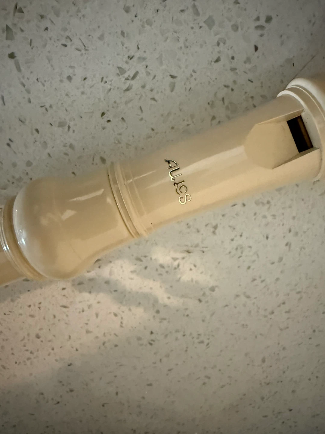 Aulos Recorder