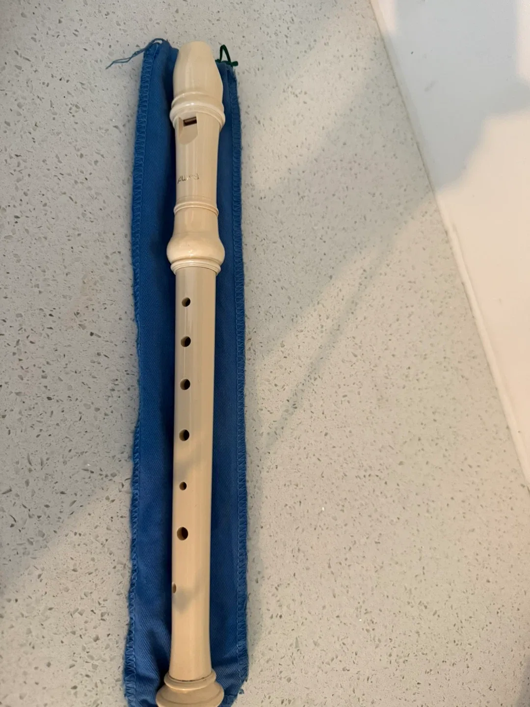 Aulos Recorder image indicator(2)