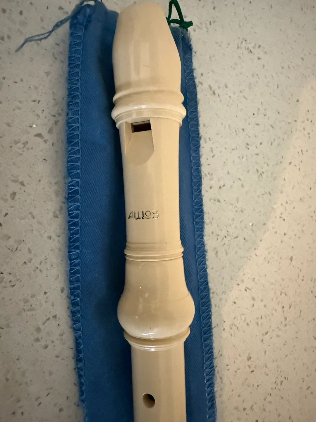 Aulos Recorder image indicator(3)