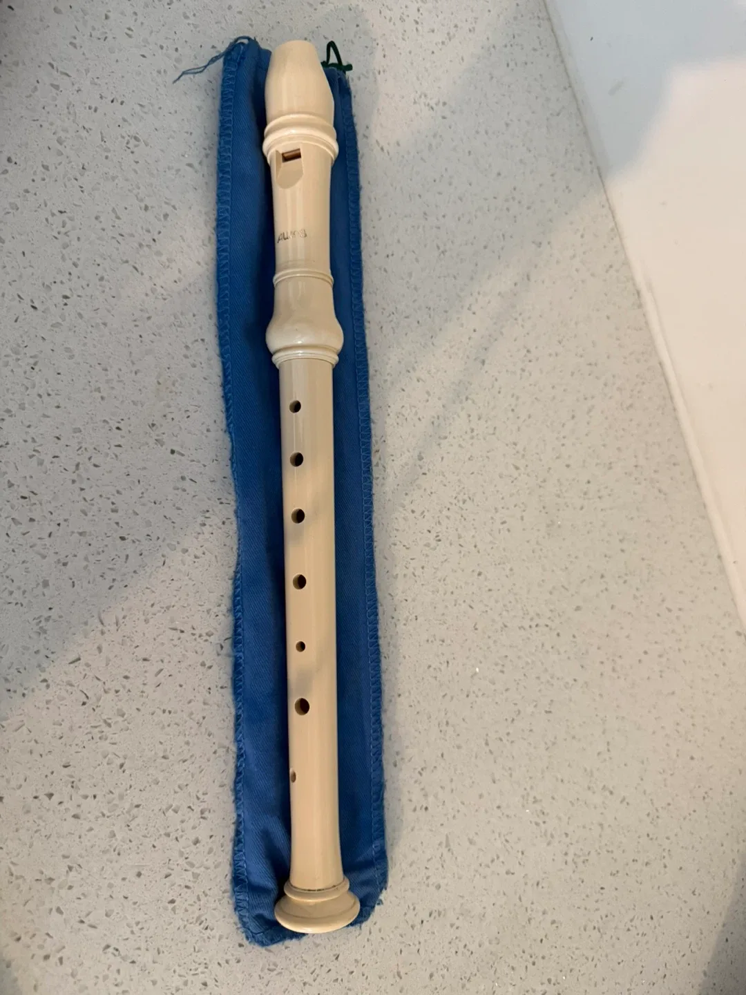 Aulos Recorder image indicator(4)