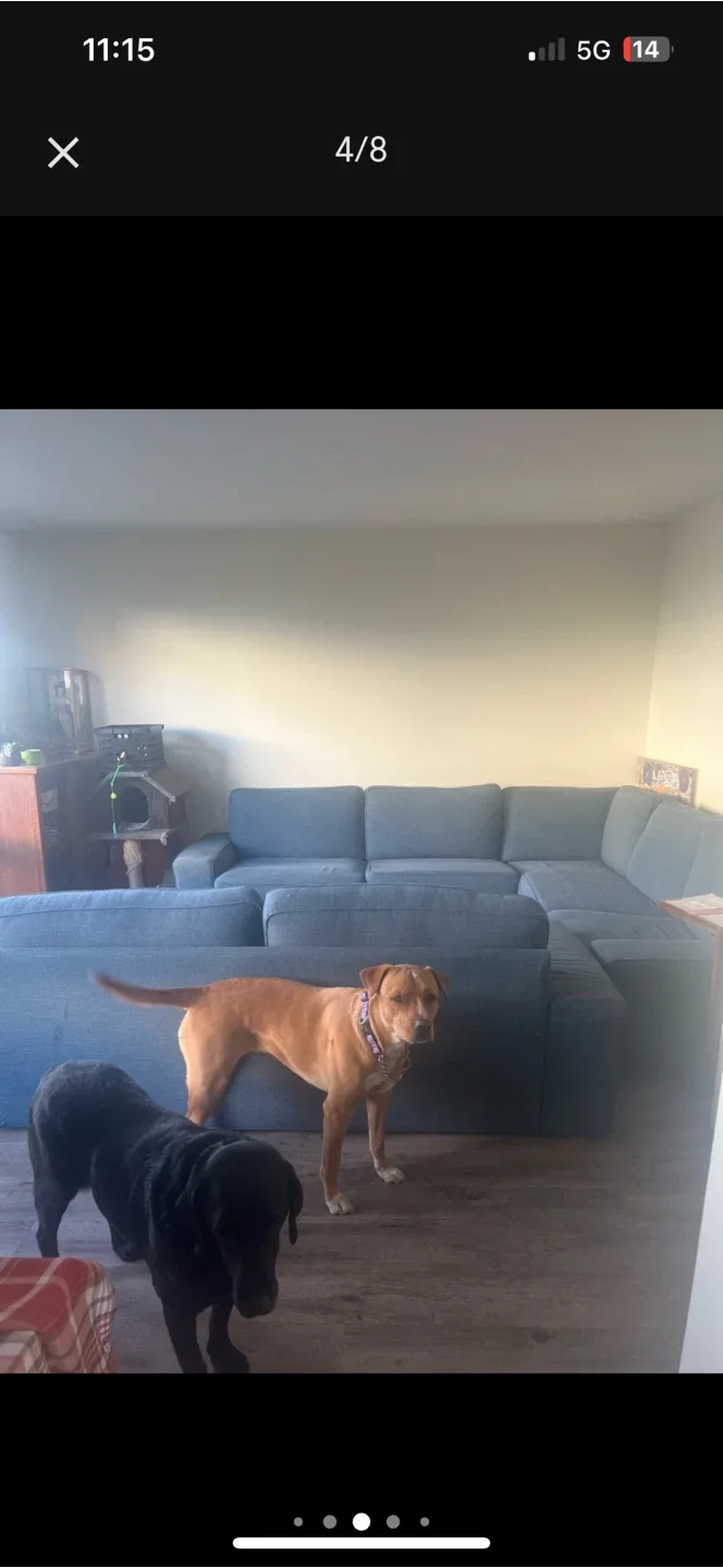 Large Blue Sectional Sofa image indicator(4)