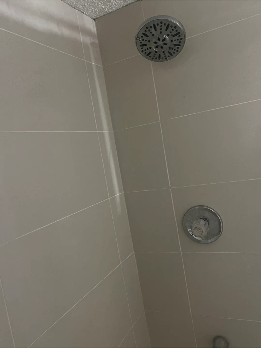 Fully developed walkout one bedroom suit image indicator(5)