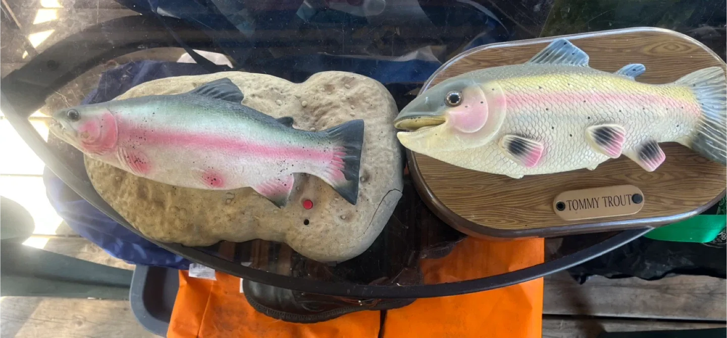 Tommy Trout & Rainbow Trout Singing Fish thumbnail