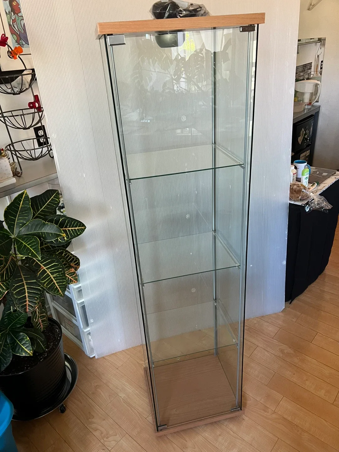 Glass Display Cabinet with Shelves