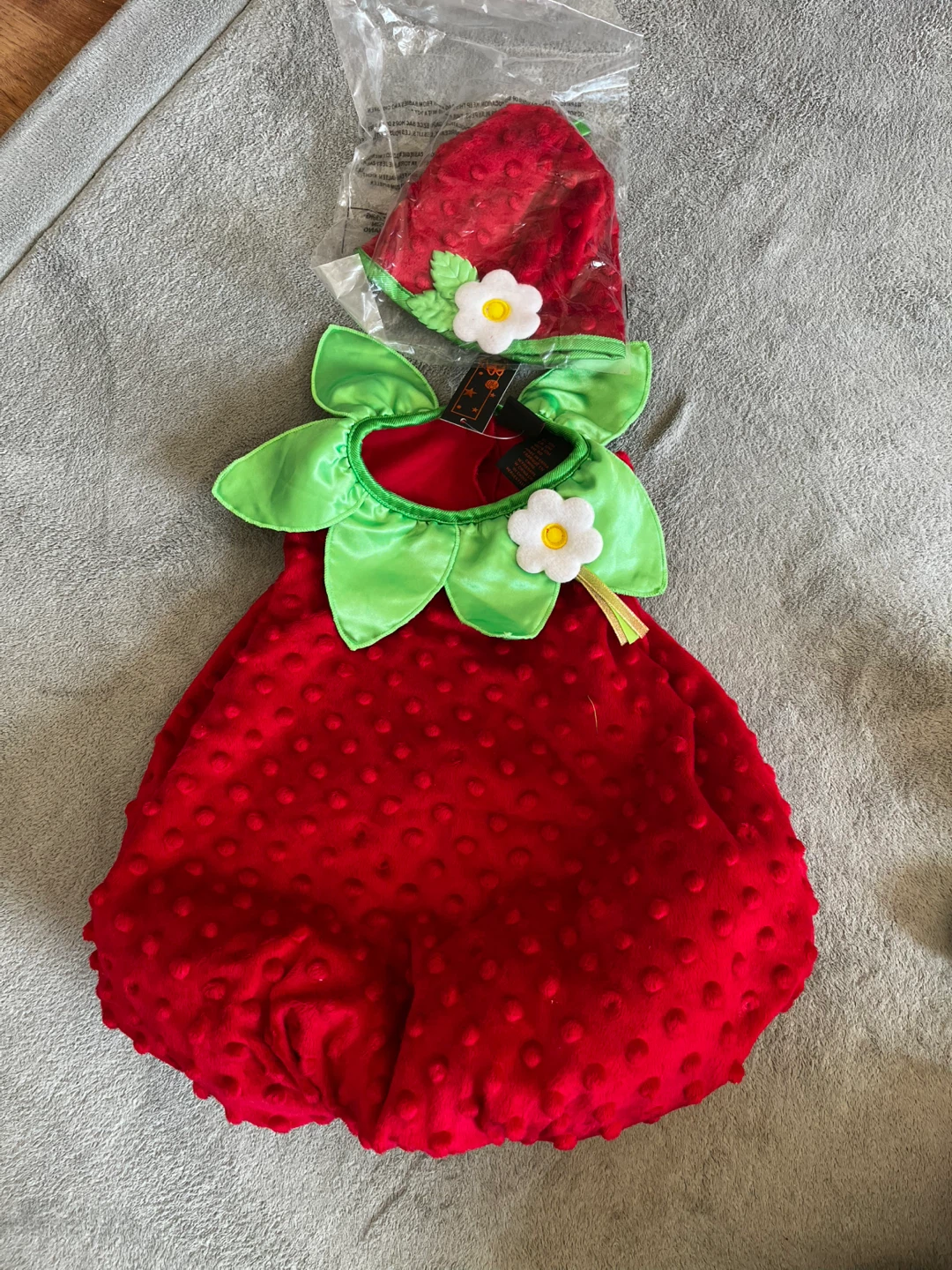 Brand new Strawberry Halloween Costume - 12 months