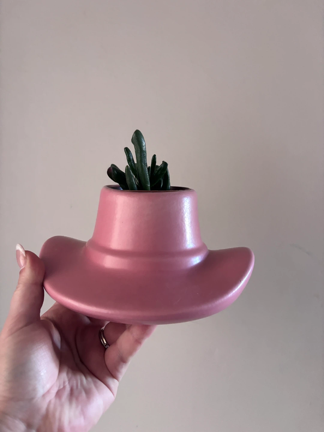 Jade Plant & Pink Cowboy Hat Planter