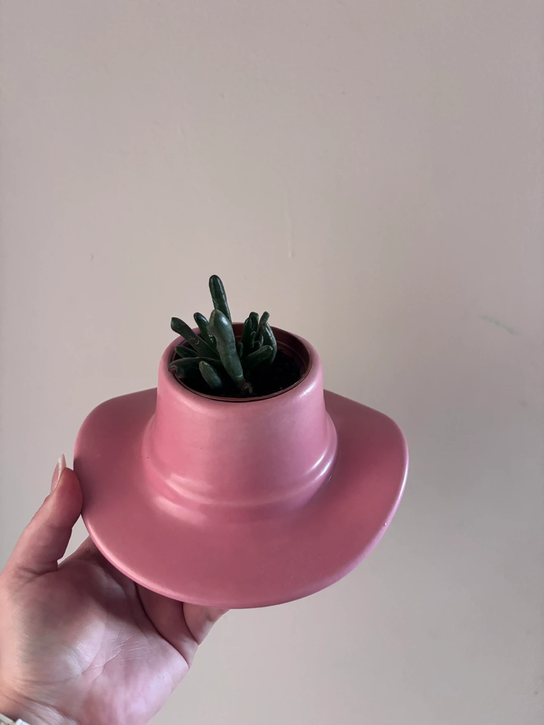 Jade Plant & Pink Cowboy Hat Planter - photo 2