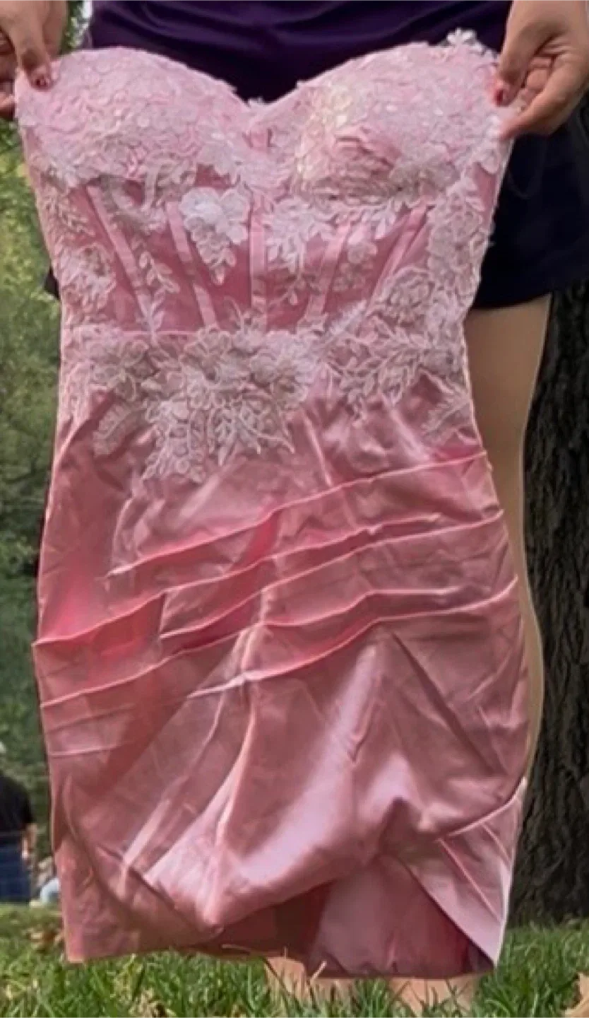 Pink Lace Corset Dress thumbnail