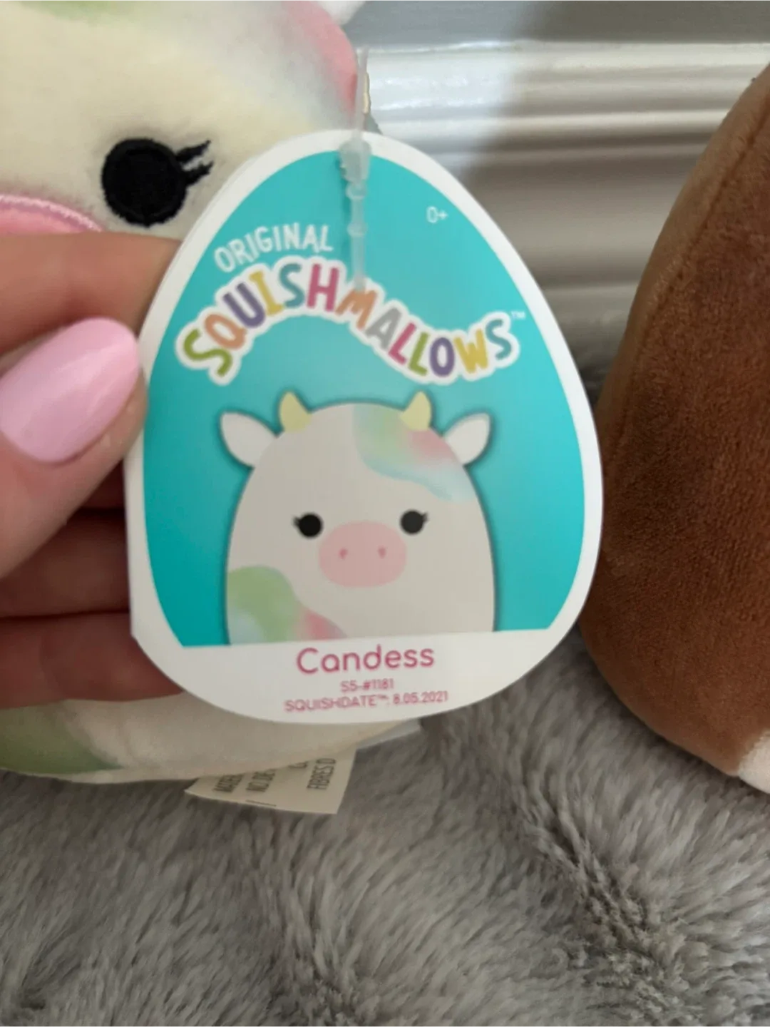 Squishmallows Plush Collection image indicator(4)