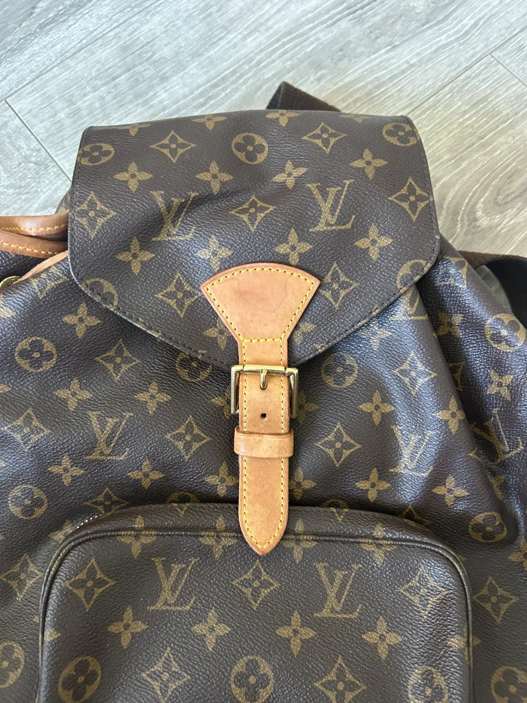 Authentic Louis Vuitton backpack image indicator(5)
