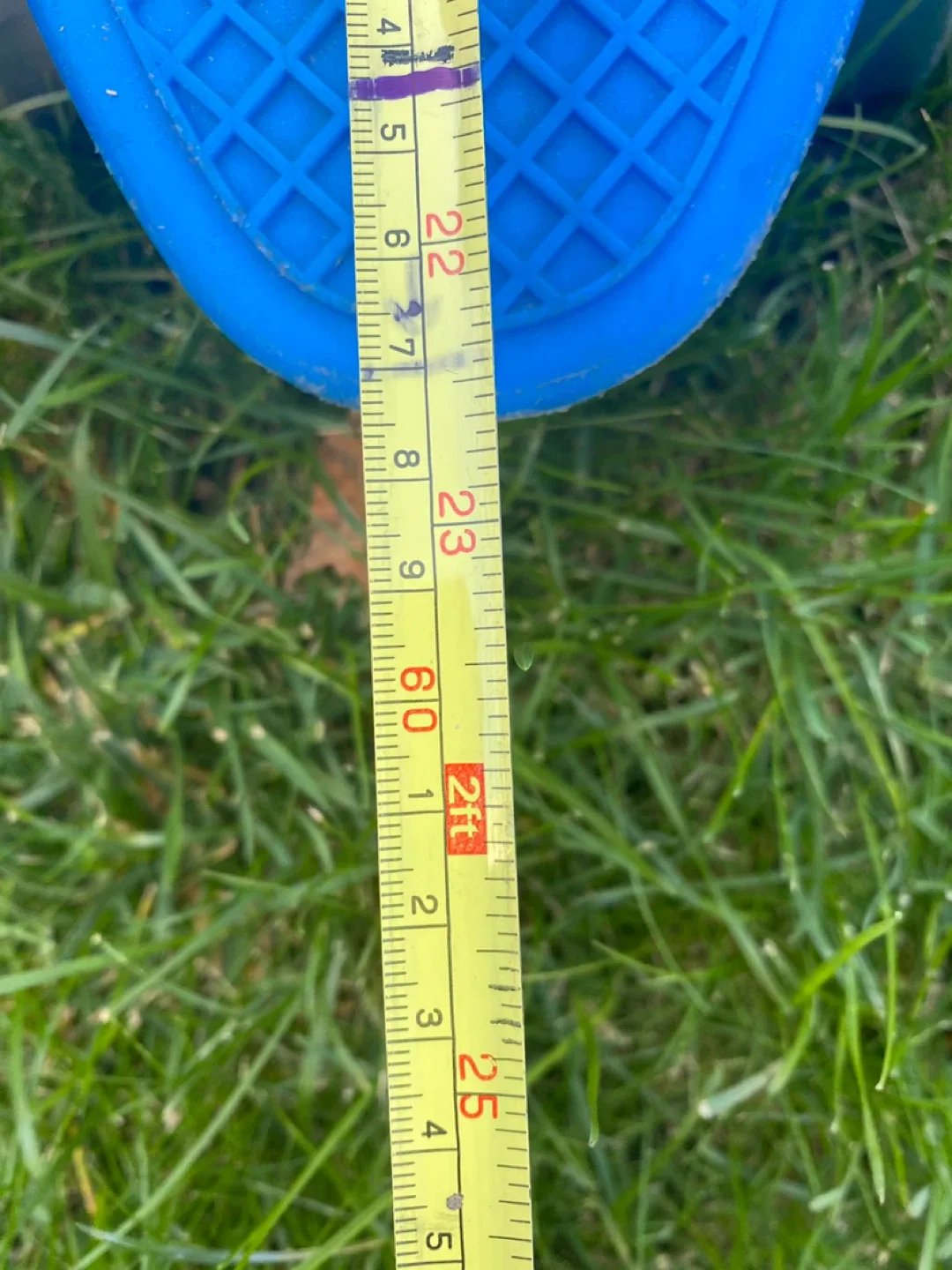 Penny Skateboard, Blue & Pink image indicator(4)