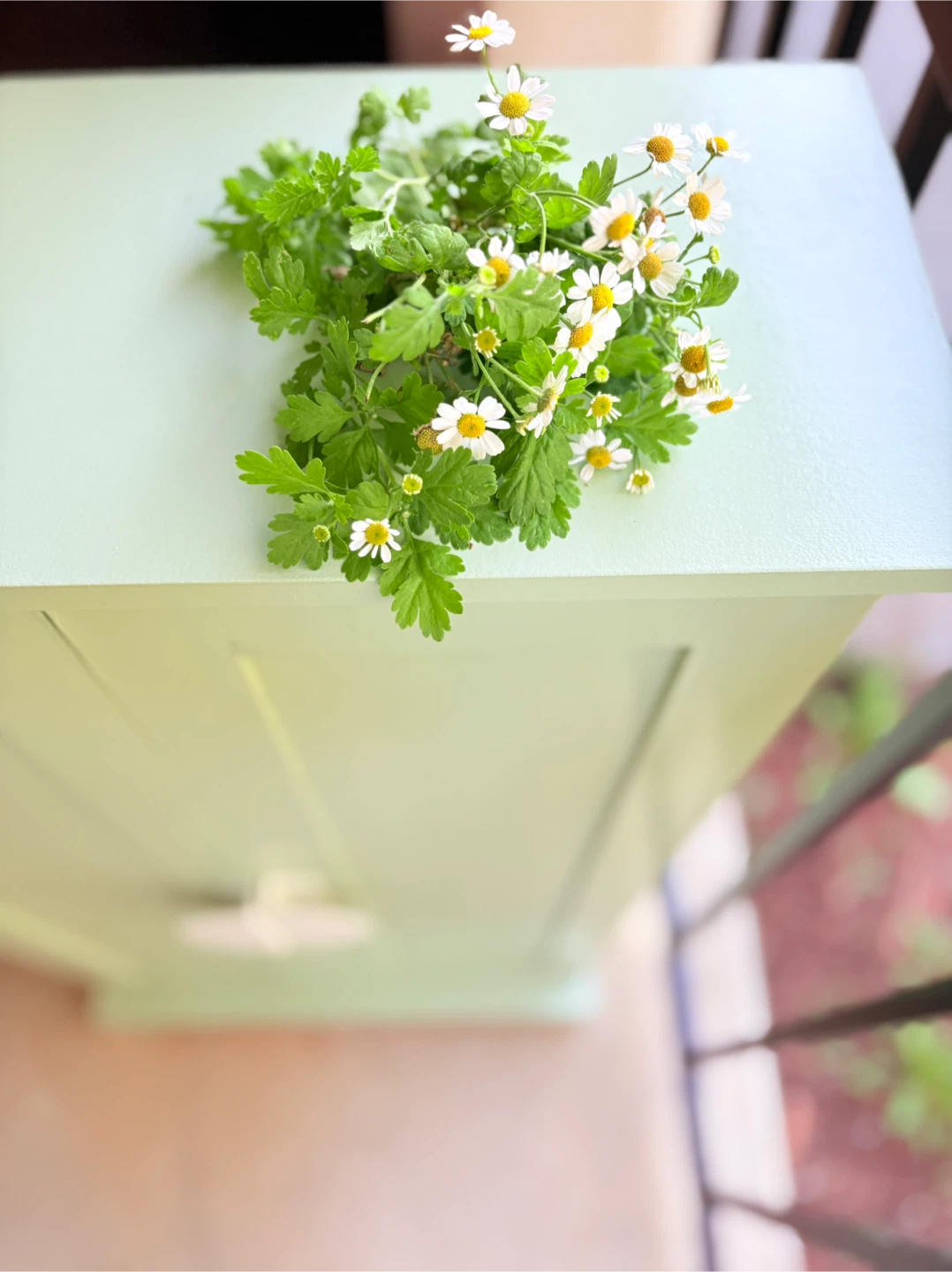 Mint Green Cabinet with Shelves shoes rack - photo 2