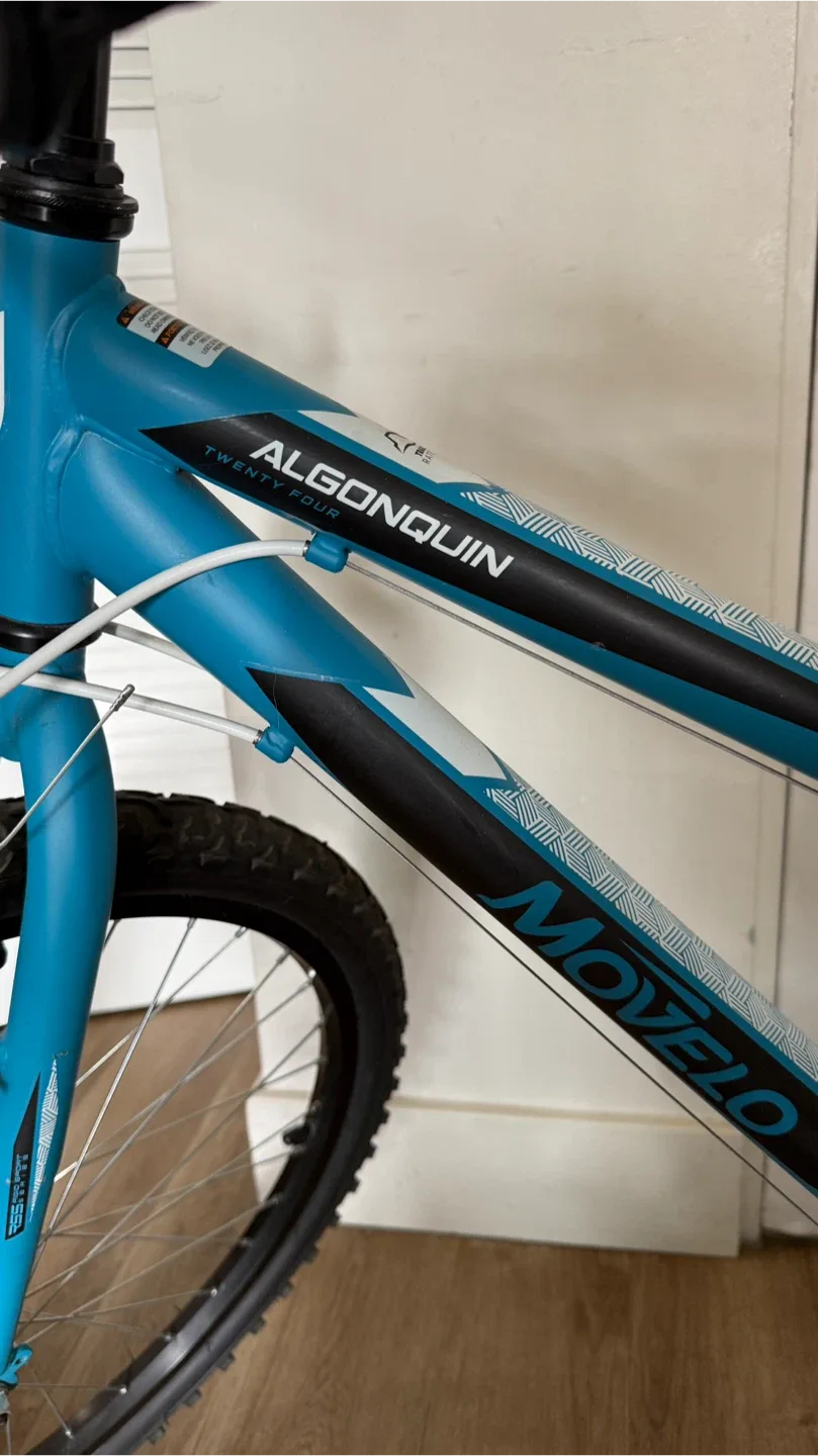 Movaelo Algonquin Twenty Four Bike - Teal image indicator(2)