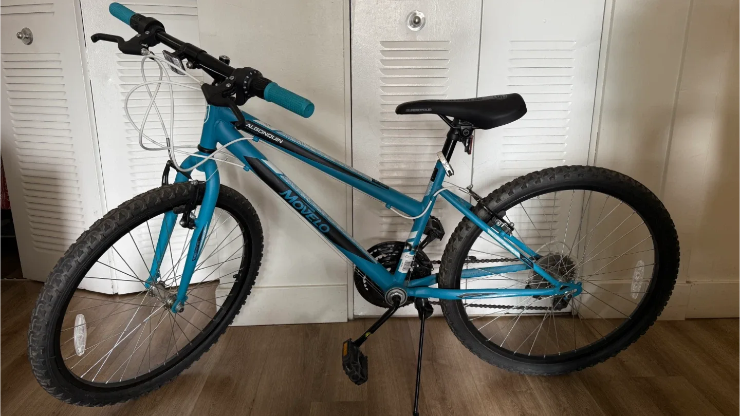 Movaelo Algonquin Twenty Four Bike - Teal image indicator(3)