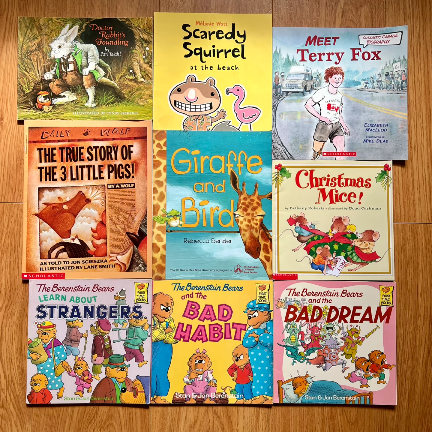 Children's Books Lot - Berenstain Bears, Terry Fox & More!