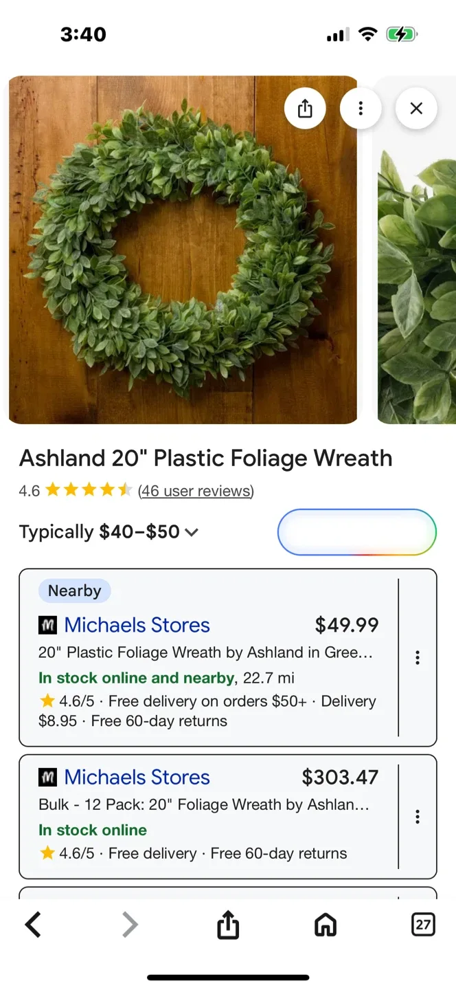 Ashland 20" Plastic Foliage Wreath thumbnail