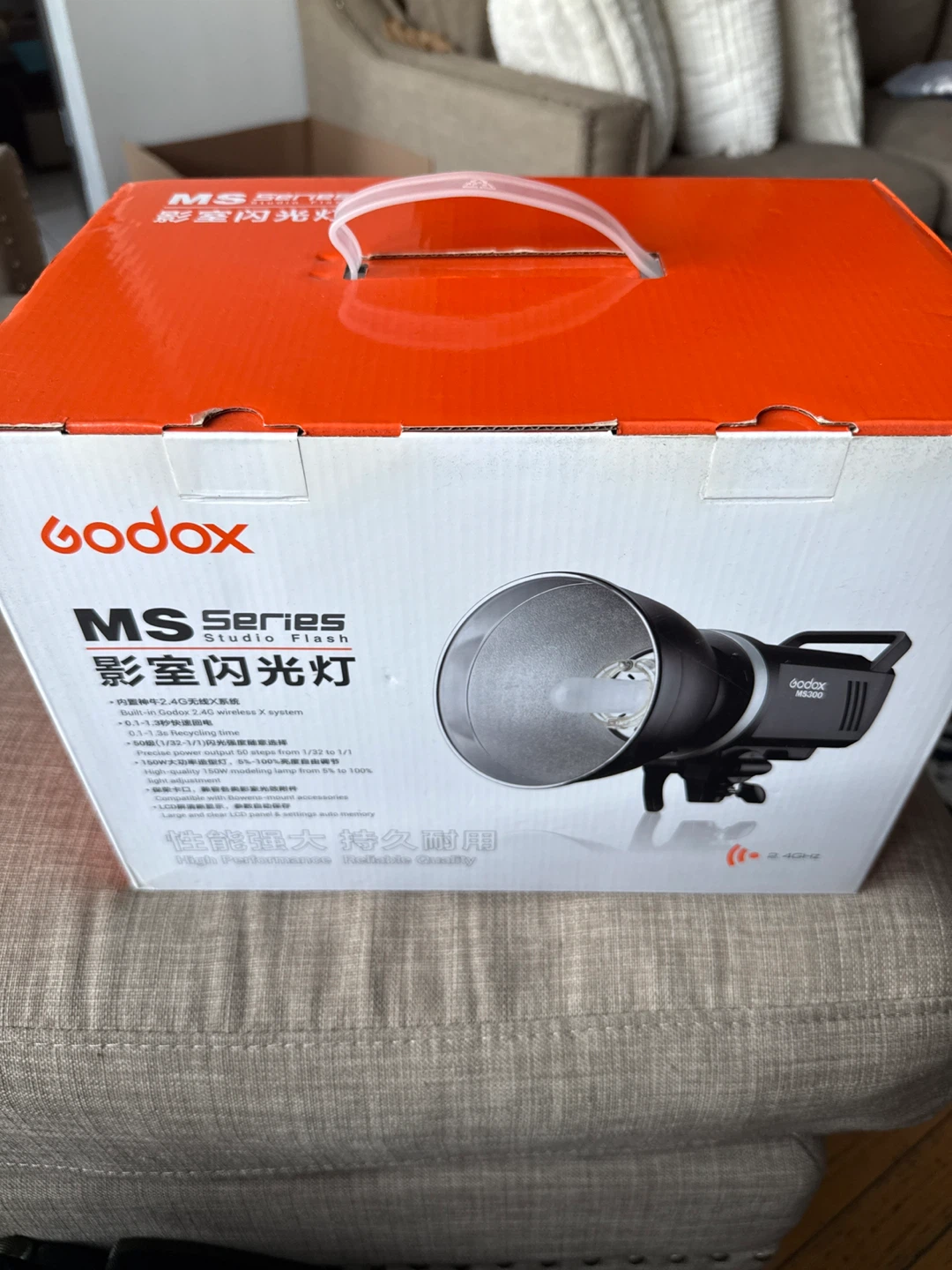 Godox MS300 Studio Flash - New!