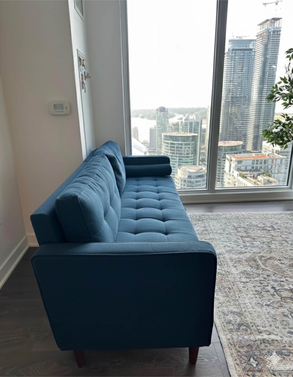 Navy Blue Couch