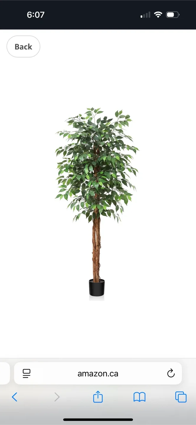 Ficus Artificial Tree