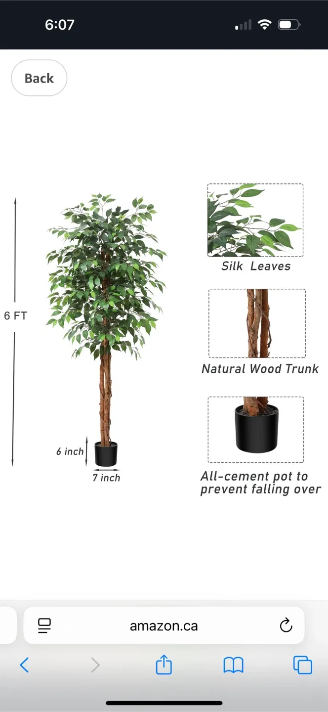 Ficus Artificial Tree image indicator(3)