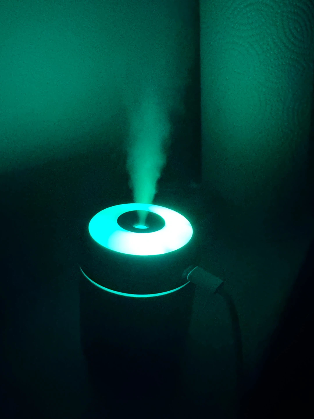 Aroma Diffuser Humidifier
