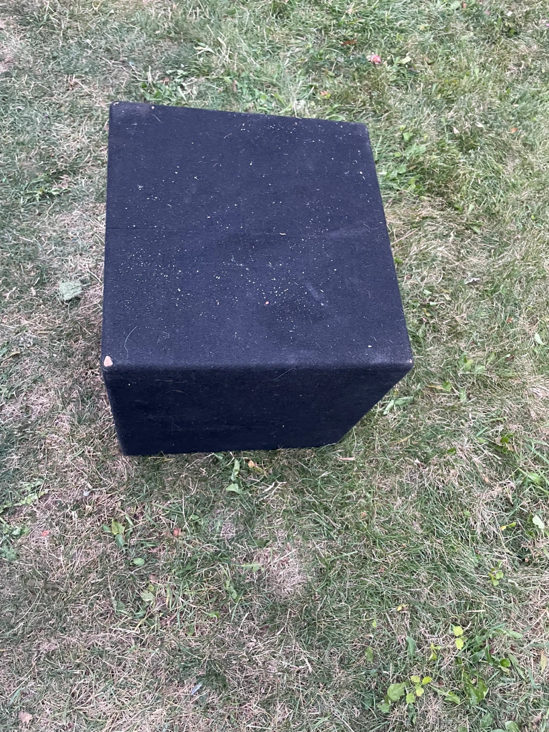 Cerwin Vega Car Subwoofer - photo 2