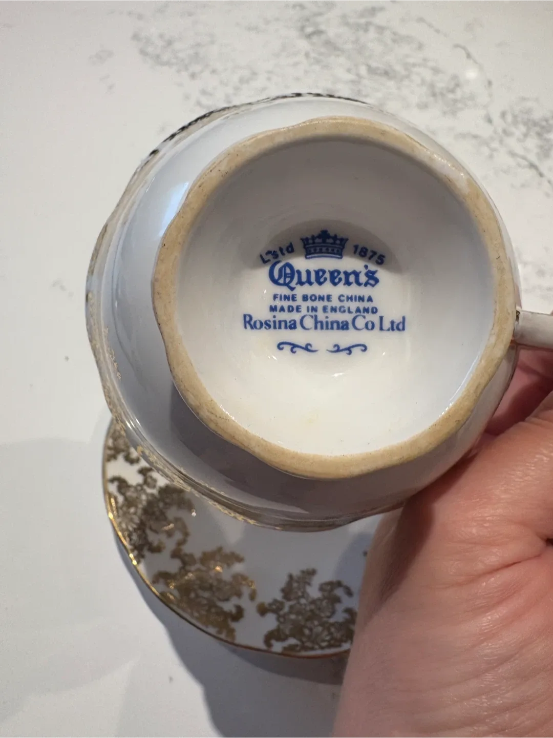 Queen's Rosina Fine Bone China Teacup & Saucer image indicator(3)