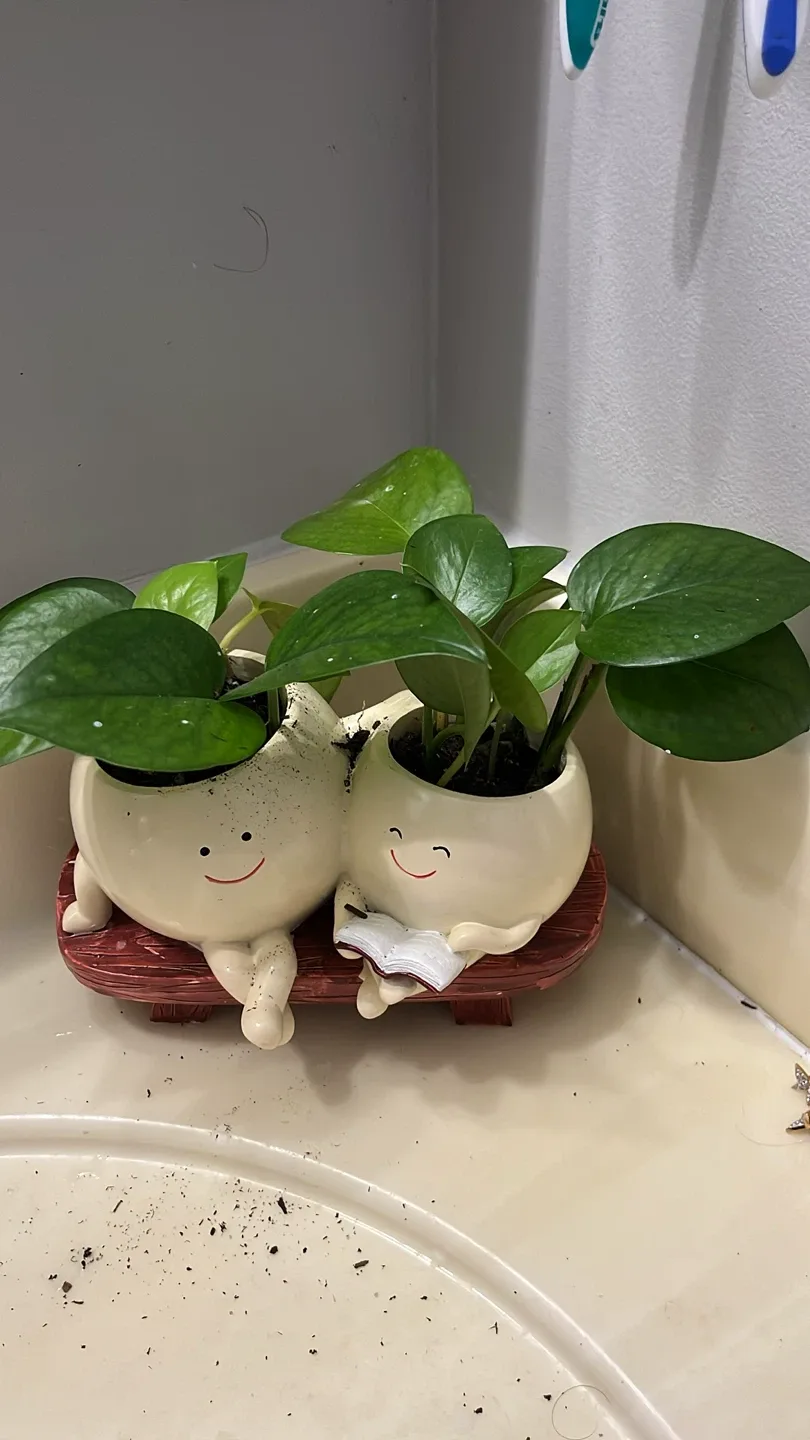 Cute Smiling Face Planter thumbnail