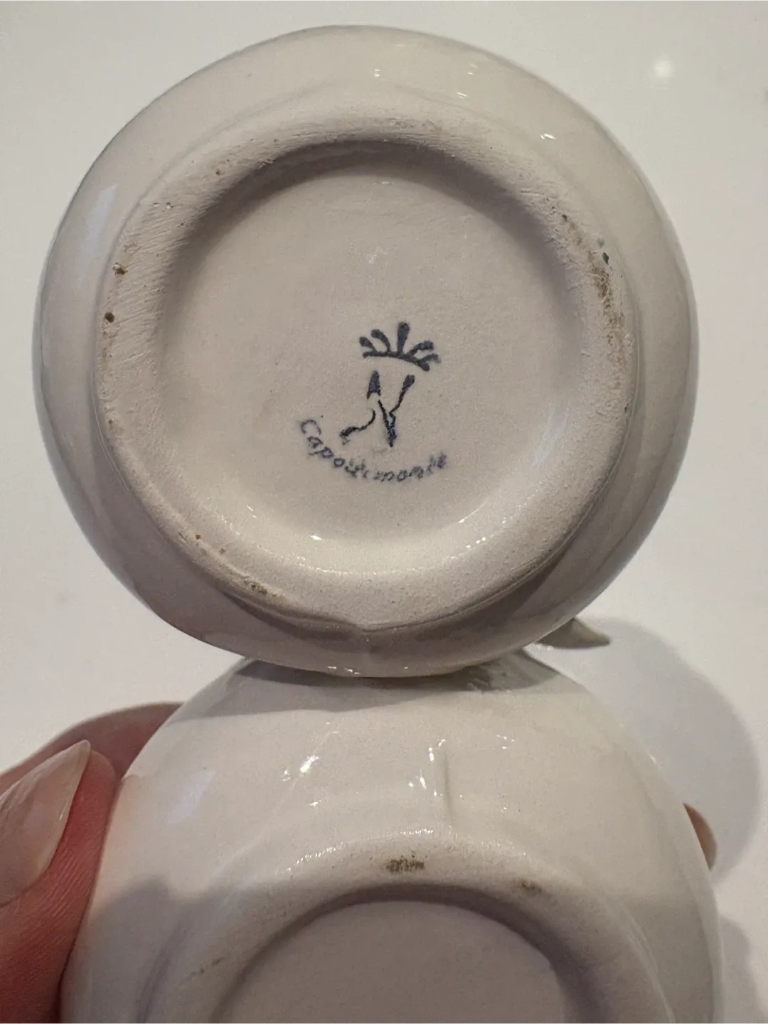 Small double dish image indicator(5)