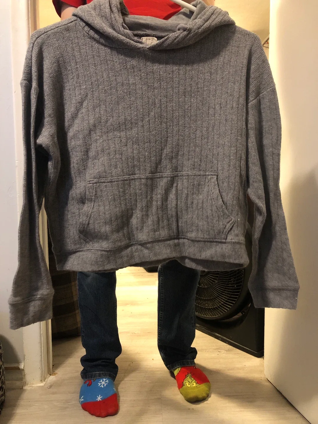 Grey Hoodie thumbnail